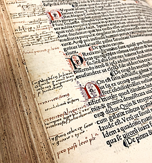 Marginalia